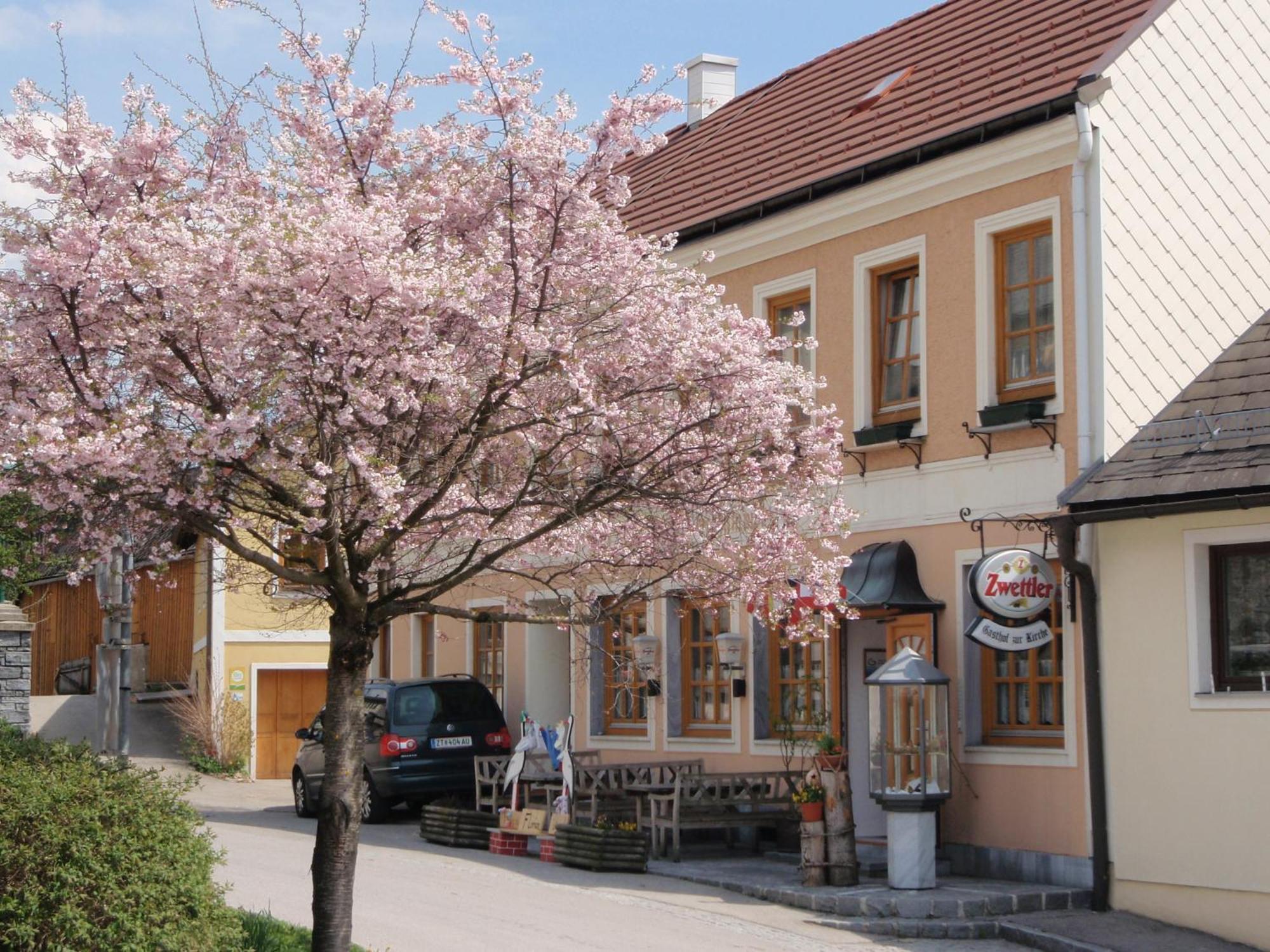 Gasthof Zur Kirche Hotel Kottes ภายนอก รูปภาพ